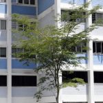 Sustainable Housing: Designing Eco-Friendly Living Environments
