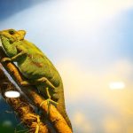 Breaking Through Mental Barriers to Growth