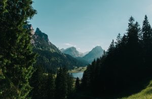 Journeys of Self: How Travel Reshapes Your Inner Landscape