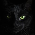 Dark Tourism: Exploring History's Most Haunting Destinations