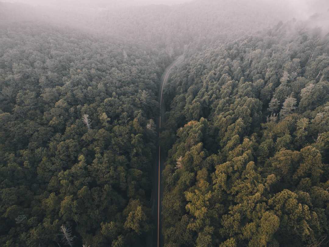 Intelligent Autonomous Drone Technologies Transforming Global Logistics