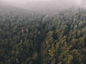 Intelligent Autonomous Drone Technologies Transforming Global Logistics