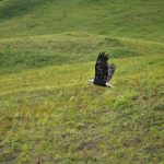 Unlocking Creativity in Personal Development
