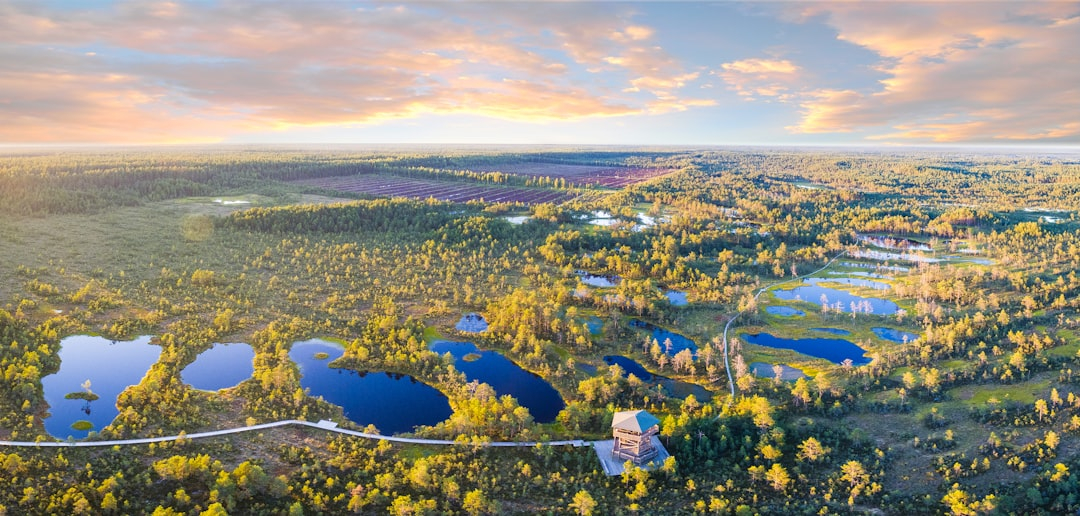 Quantum Computing Technologies Transforming Future Electronic Landscapes