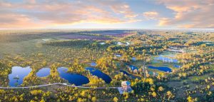 Quantum Computing Technologies Transforming Future Electronic Landscapes