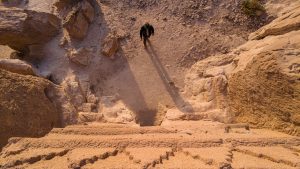 The Edge of Exploration: Where Courage Meets Adventure