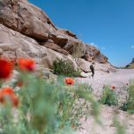 Sustainable Transportation Solutions for Challenging Ecosystem Exploration