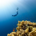 Biomimetic Electronic Designs Inspired by Natural World Systems